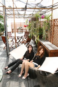 ���̂��l�C�̃n�����b�N�̓o�i�i������