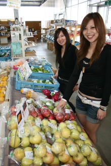 �Y���X�܂̂������́@�o�i�i��h���S���t���[�c������܂��B